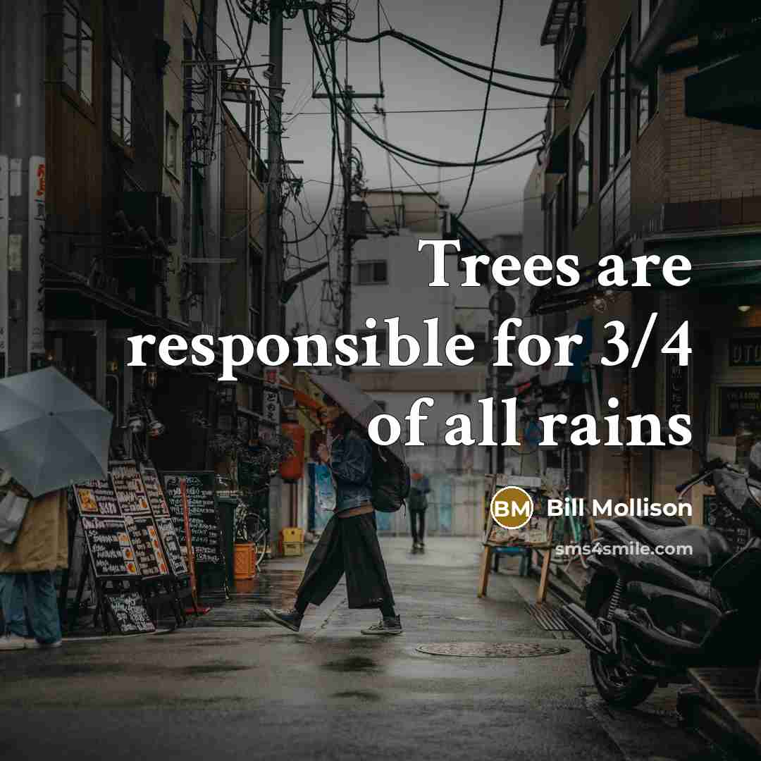 “Trees are responsible for 3/4 of all rains…” quote by Bill Mollison