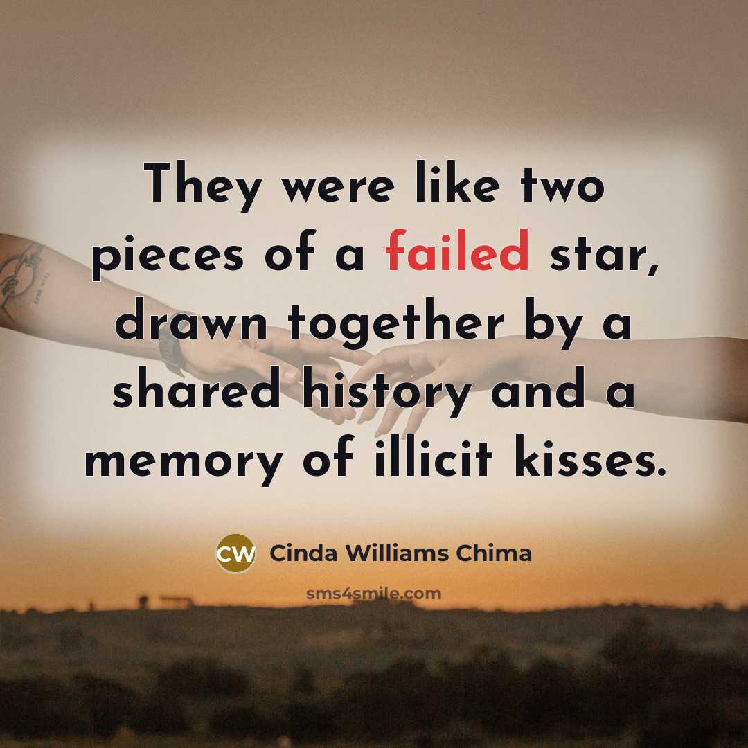 “They were like two pieces of a failed star, drawn…” quote by Cinda Williams Chima