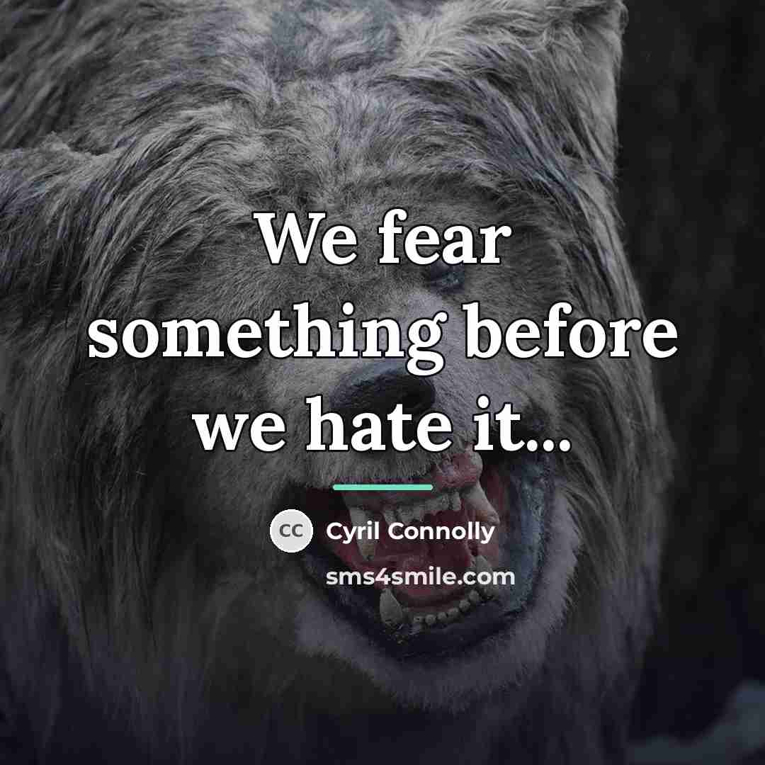 “We fear something before we hate it...…” quote by Cyril Connolly