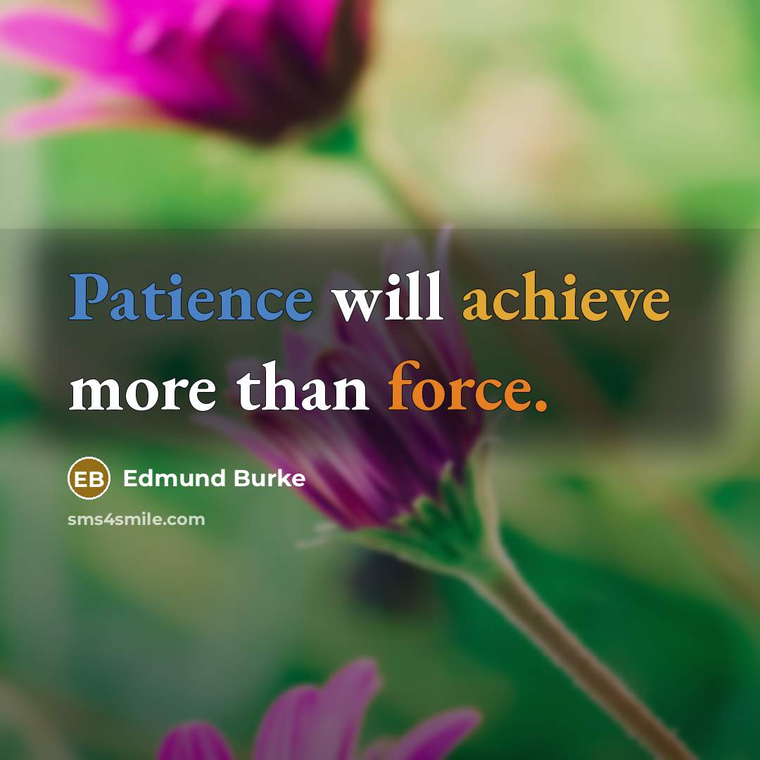 “Patience will achieve more than force.…” quote by Edmund Burke