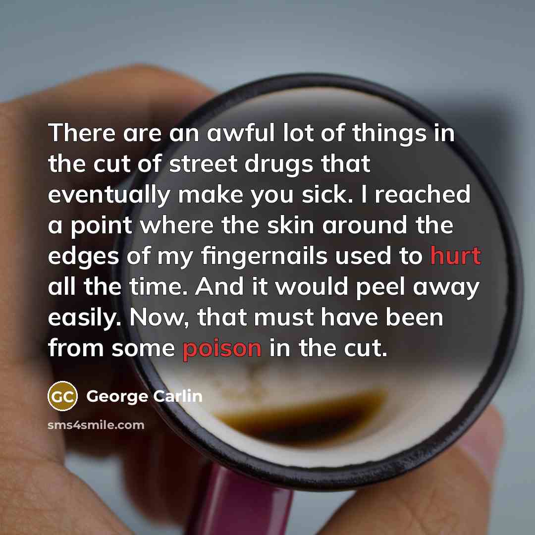 “There are an awful lot of things in the cut…” quote by George Carlin