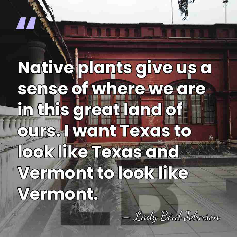 Native plants give us a sense of where we are in this&hellip; - Lady Bird Johnson