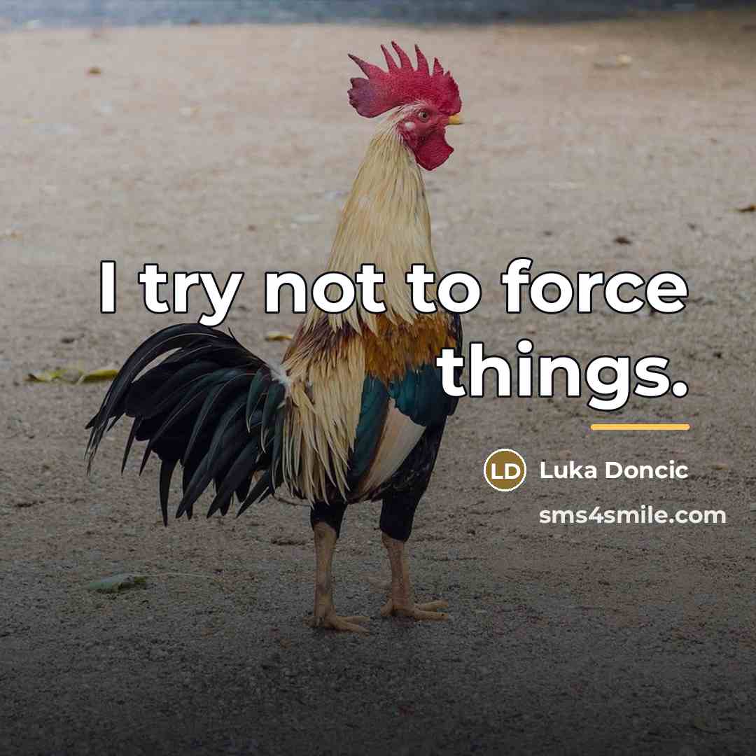 “I try not to force things.…” quote by Luka Doncic