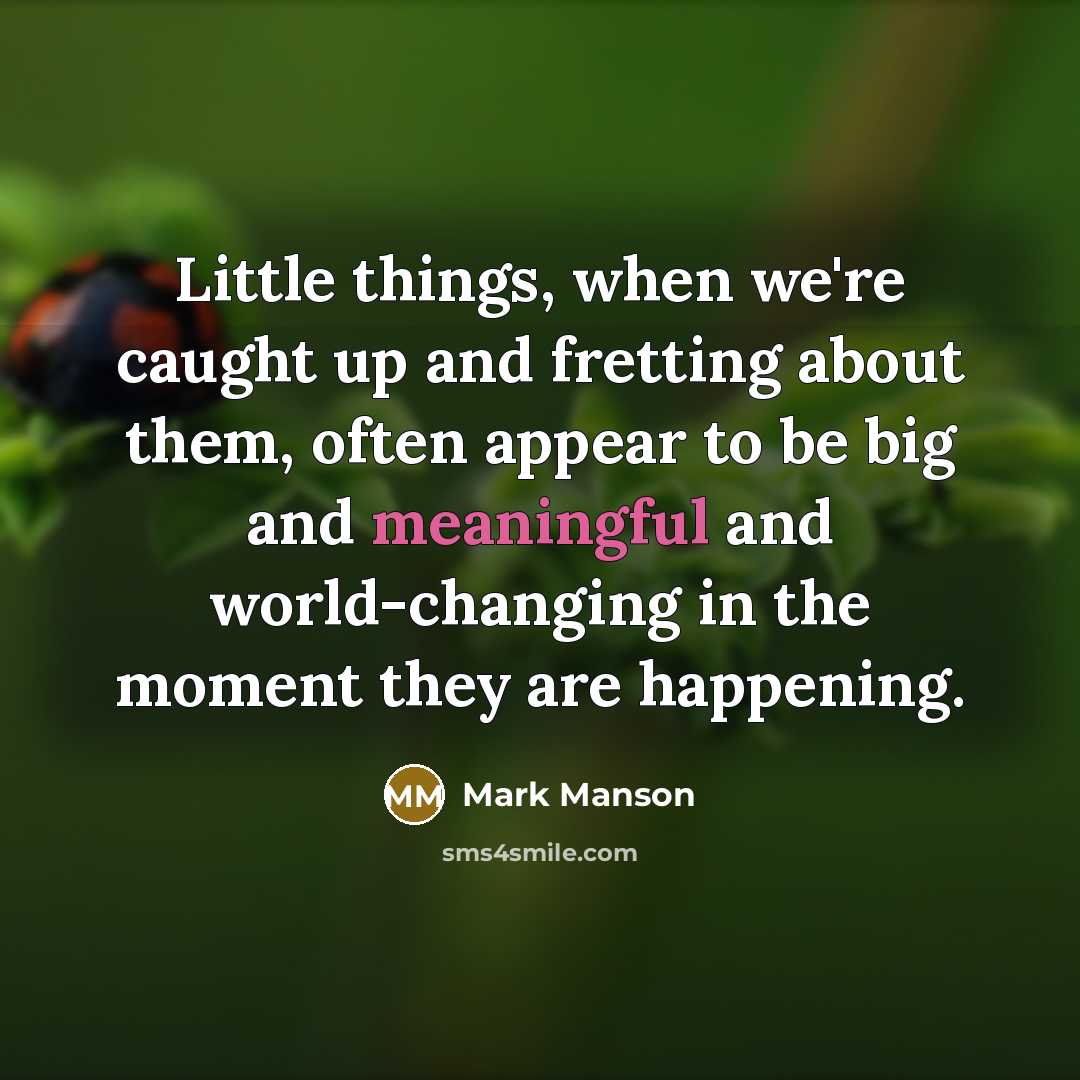 “Little things, when we're caught up and fretting about them,…” quote by Mark Manson