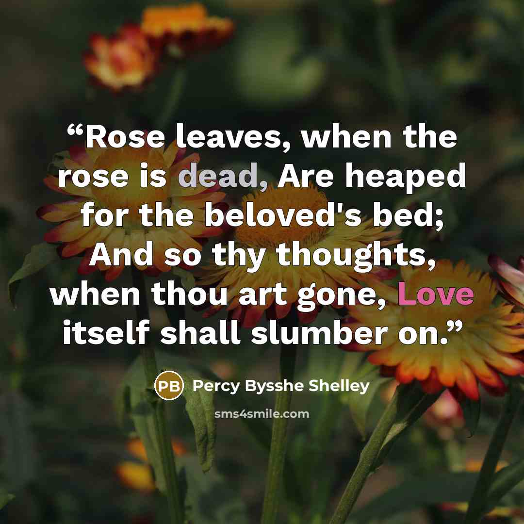 “Rose leaves, when the rose is dead, Are heaped for the beloved's bed; And so thy thoughts, when thou art gone, Love itself shall slumber on.” quote by Percy Bysshe Shelley