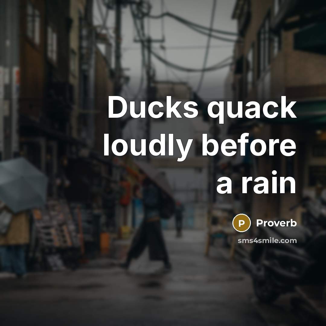 “Ducks quack loudly before a rain” quote by Proverb