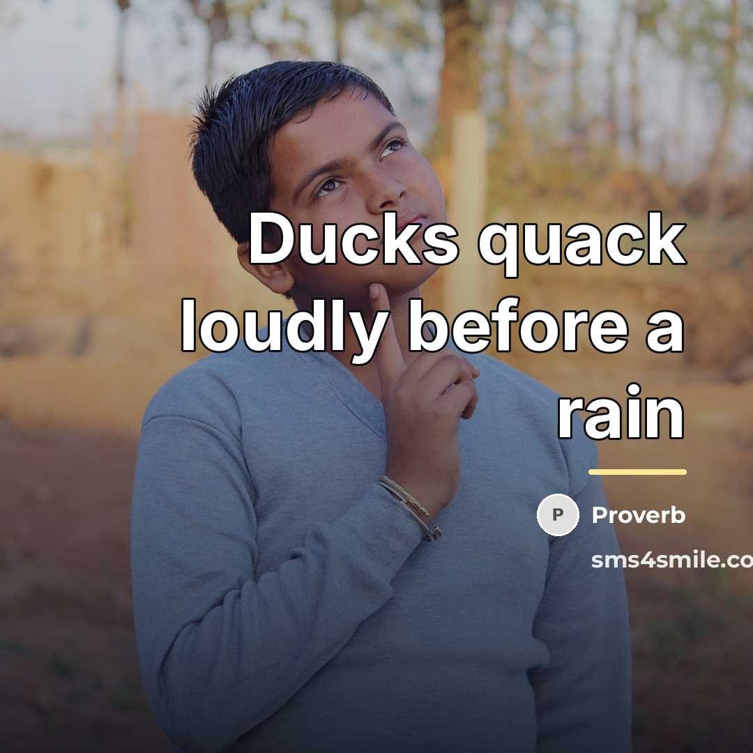 “Ducks quack loudly before a rain…” quote by Proverb