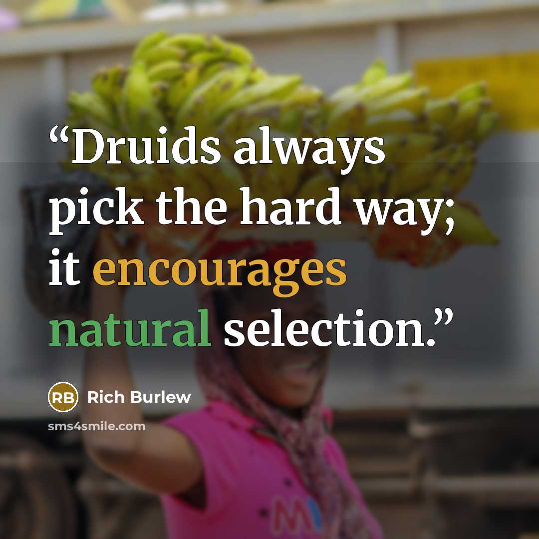 “Druids always pick the hard way; it encourages natural selection.” quote by Rich Burlew
