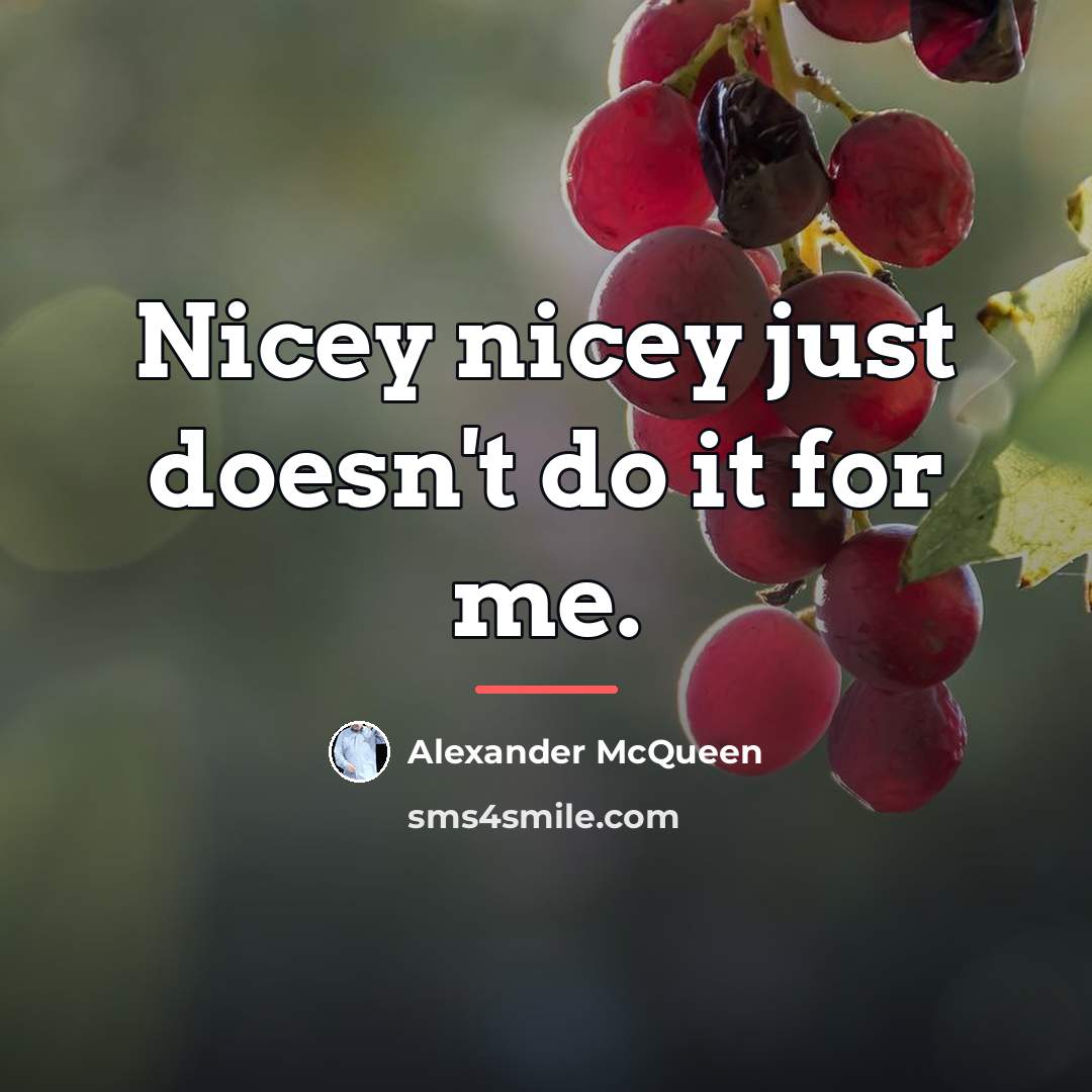 “Nicey nicey just doesn't do it for me.…” quote by Alexander McQueen