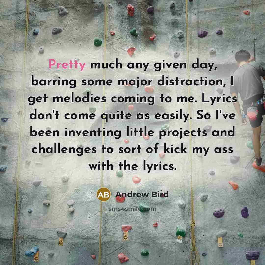 “Pretty much any given day, barring some major distraction, I…” quote by Andrew Bird