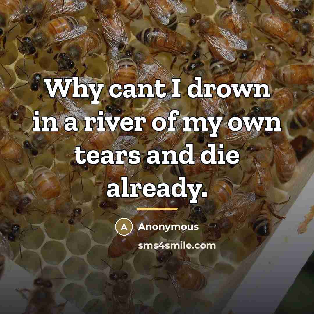 “Why cant I drown in a river of my own…” quote by Anonymous