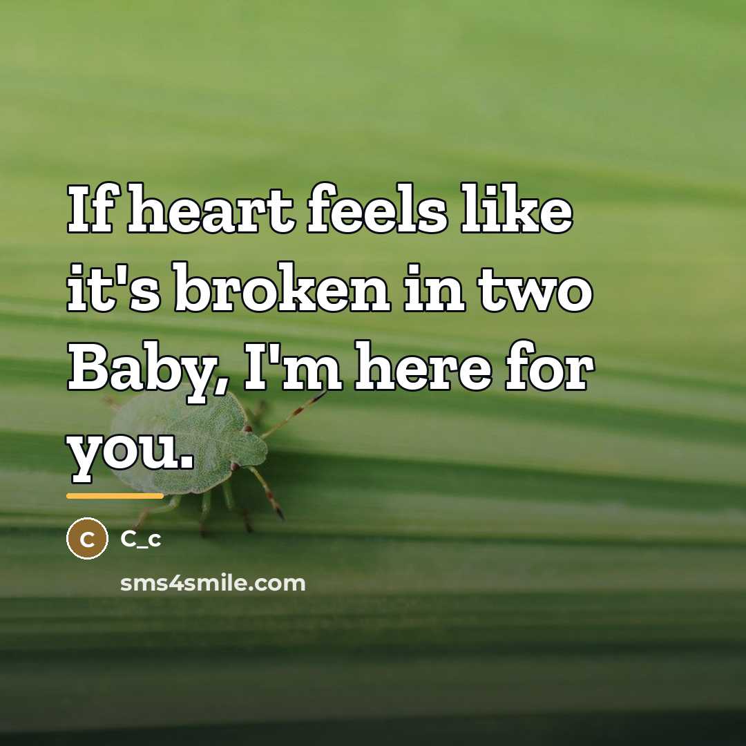 “If heart feels like it's broken in two Baby, I'm…” quote by C_c