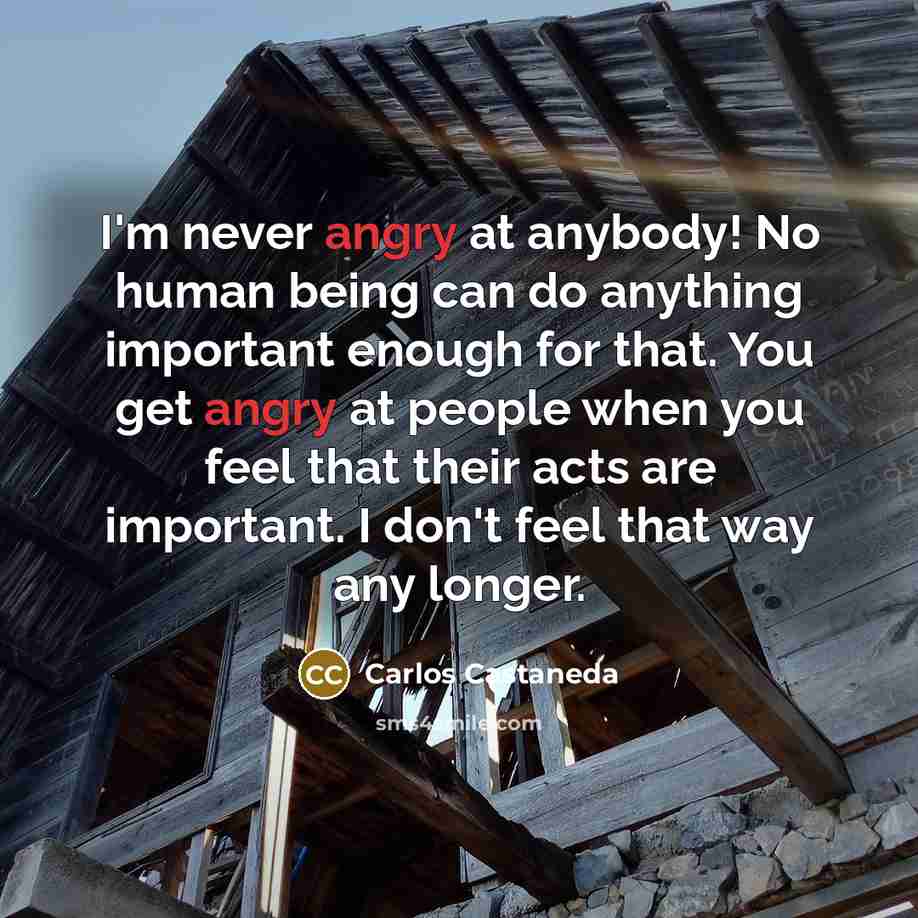 “I'm never angry at anybody! No human being can do…” quote by Carlos Castaneda