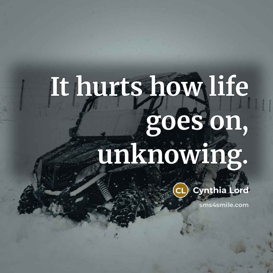 “It hurts how life goes on, unknowing.…” quote by Cynthia Lord