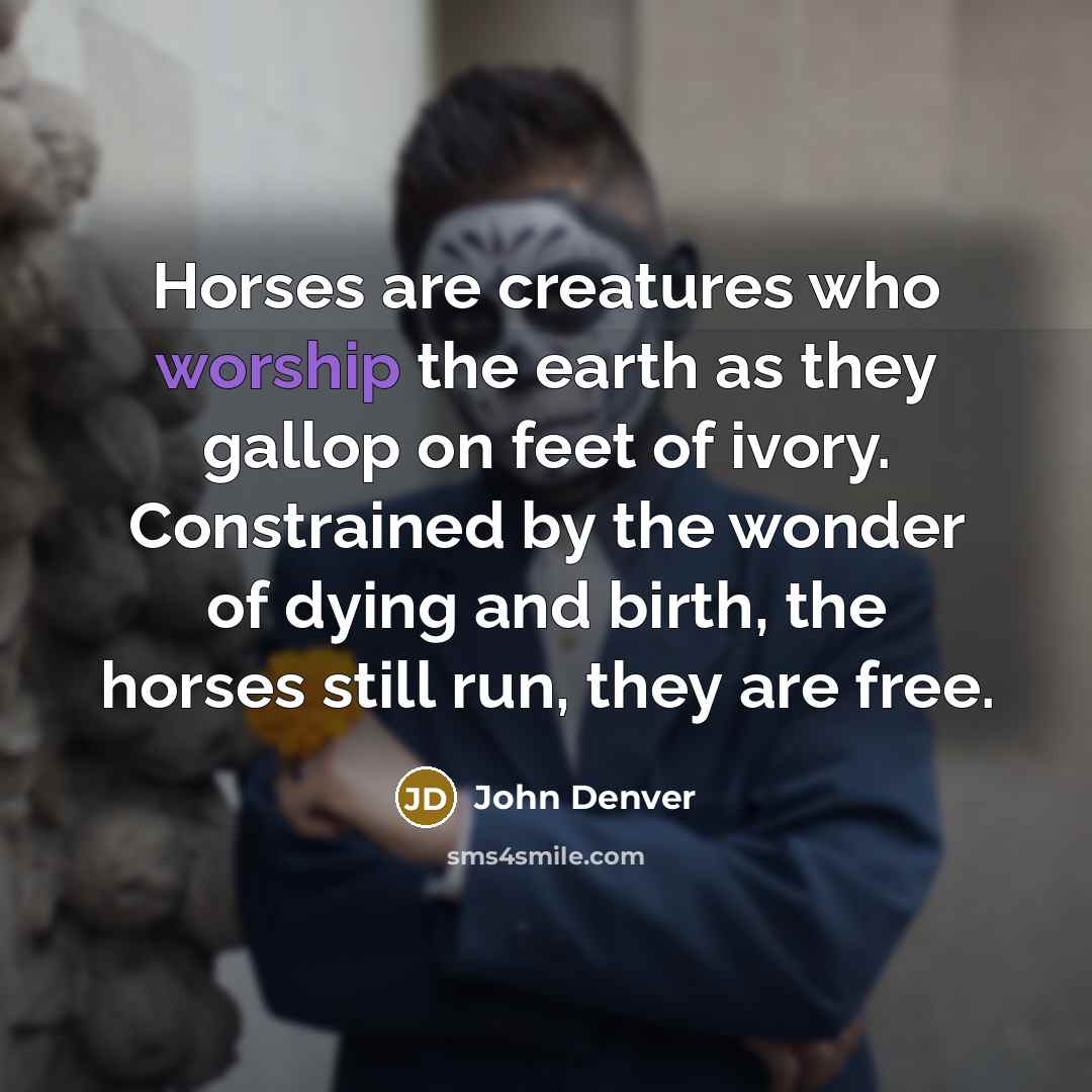 “Horses are creatures who worship the earth as they gallop…” quote by John Denver
