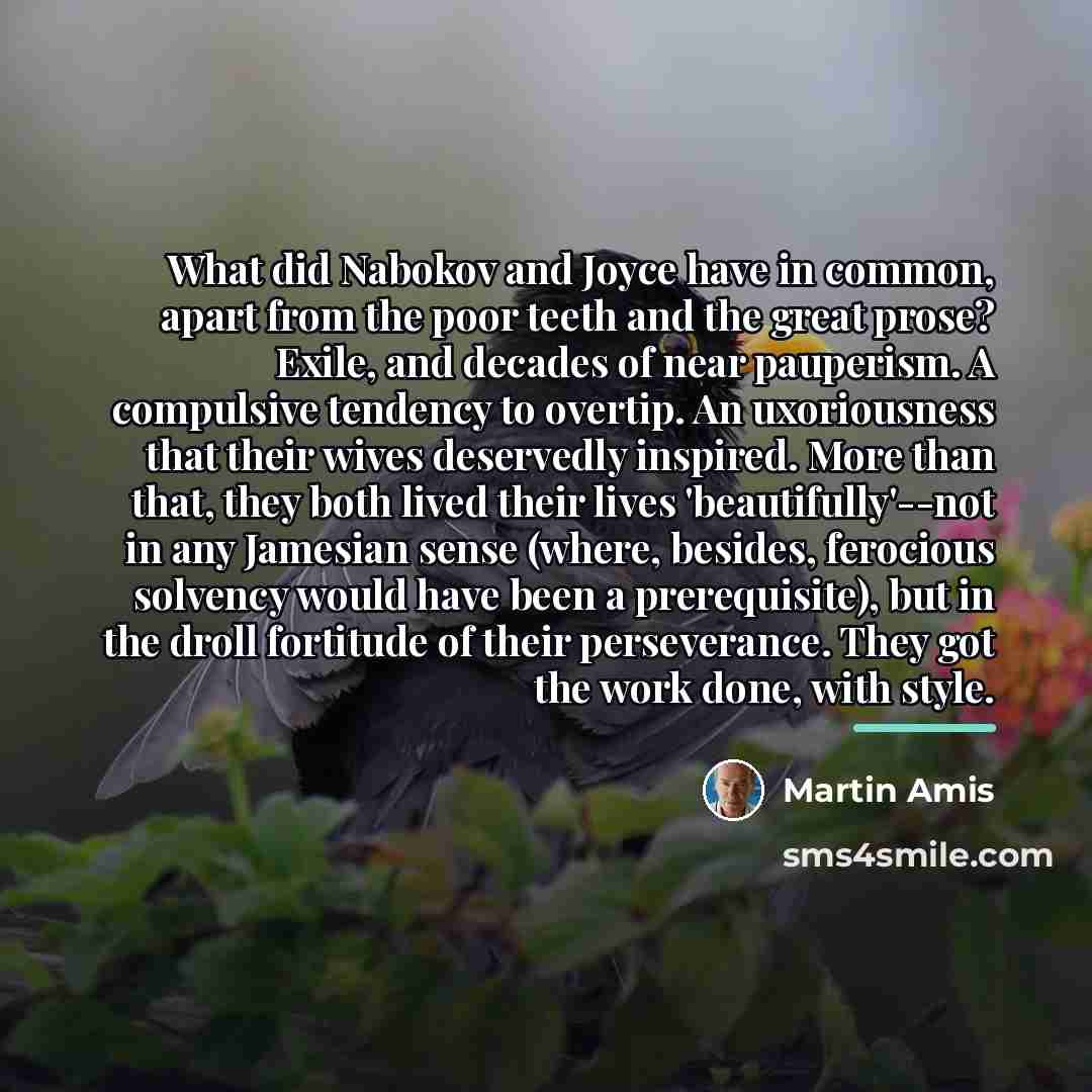 “What did Nabokov and Joyce have in common, apart from…” quote by Martin Amis