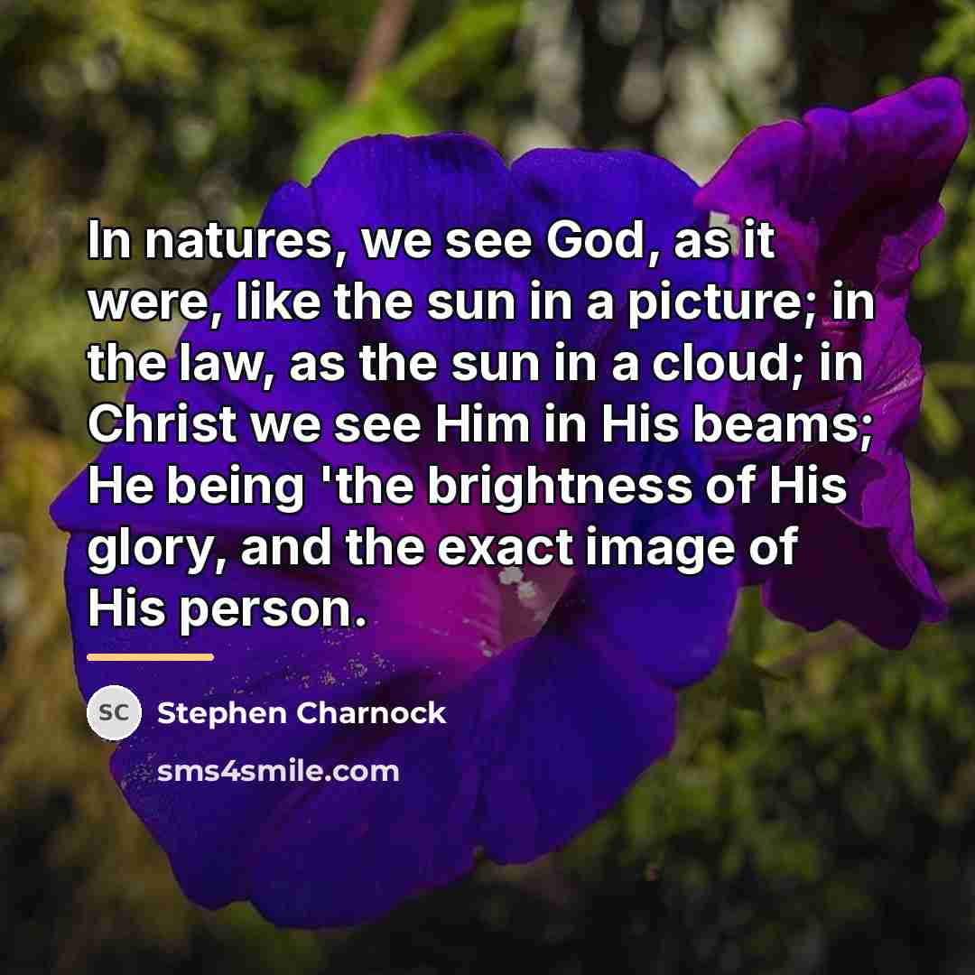 “In natures, we see God, as it were, like the…” quote by Stephen Charnock