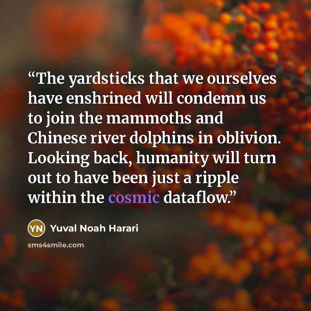 “The yardsticks that we ourselves have enshrined will condemn us to join the mammoths and Chinese river dolphins in oblivion. Looking back, humanity will turn out to have been just a ripple within the cosmic dataflow.” quote by Yuval Noah Harari