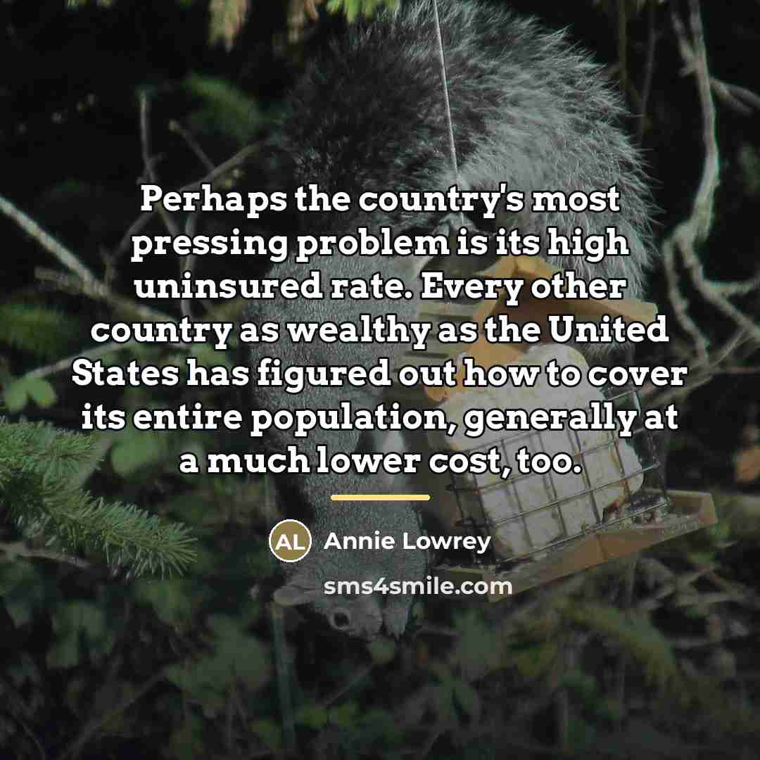 “Perhaps the country's most pressing problem is its high uninsured…” quote by Annie Lowrey