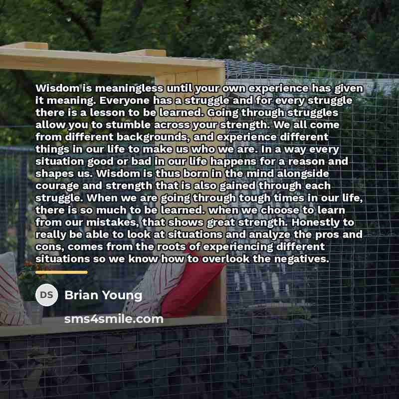 “Wisdom is meaningless until your own experience has given it…” quote by Brian Young