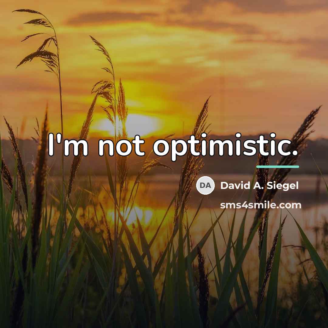 “I'm not optimistic.…” quote by David A. Siegel