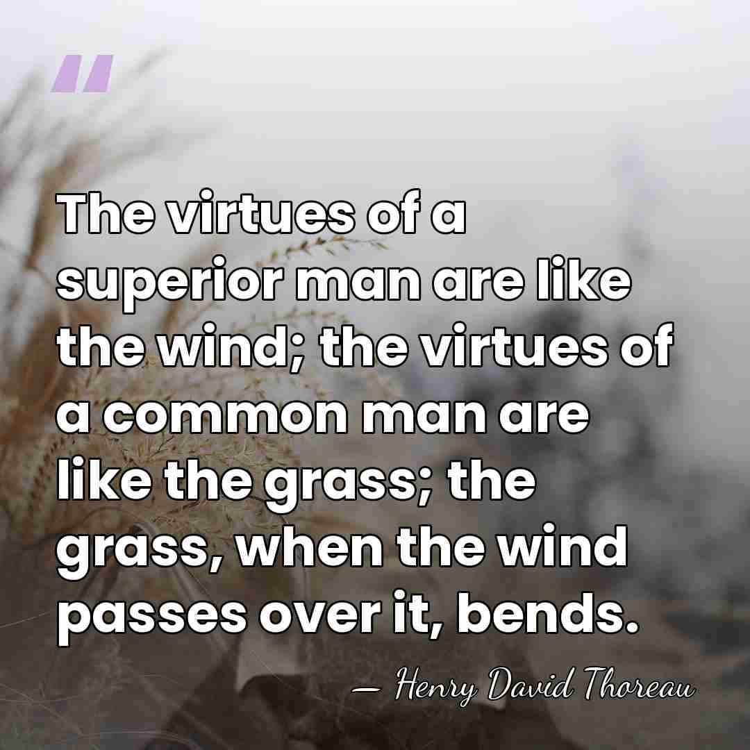 The virtues of a superior man are like the wind; the virtues&hellip; - Henry David Thoreau