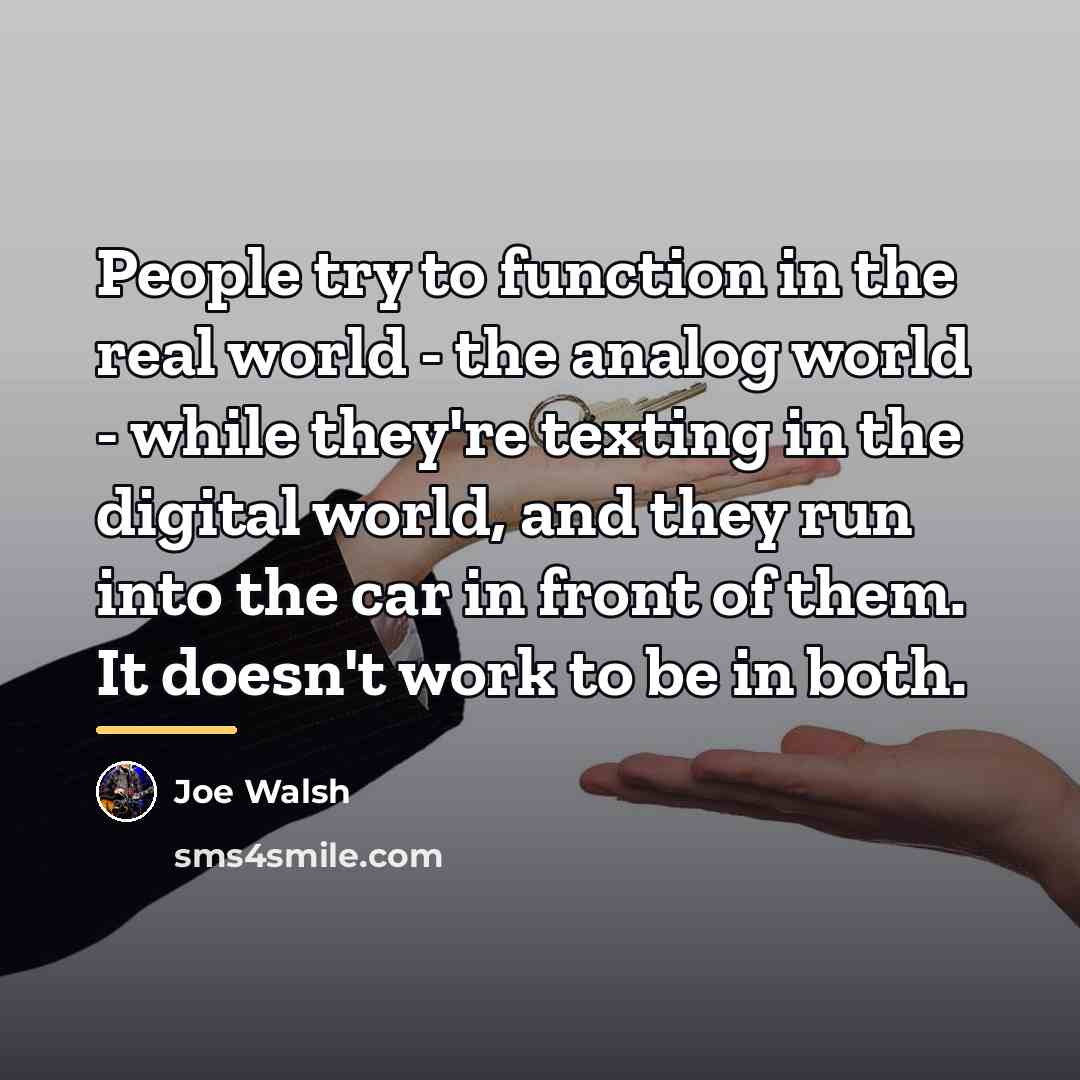 “People try to function in the real world - the…” quote by Joe Walsh