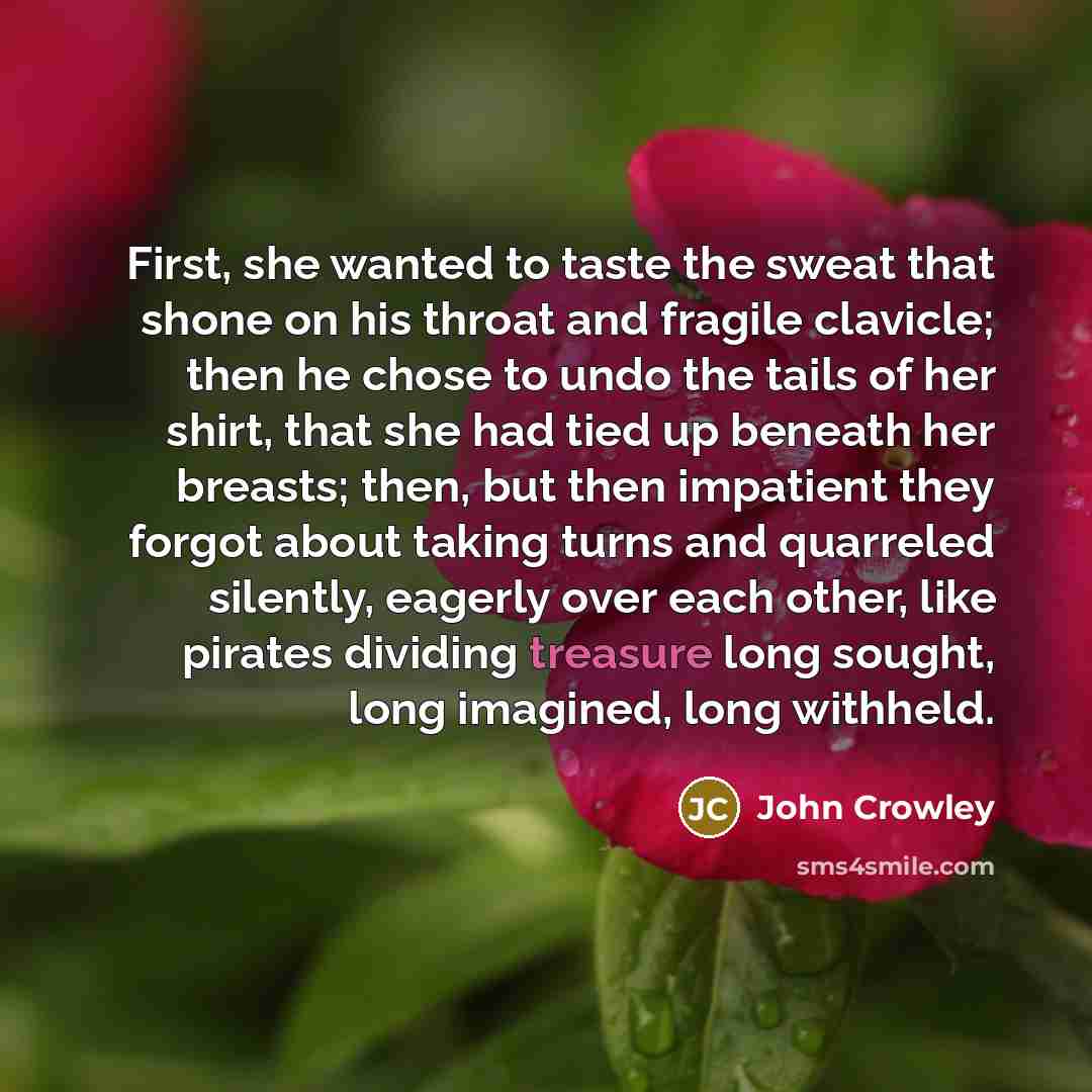 “First, she wanted to taste the sweat that shone on…” quote by John Crowley
