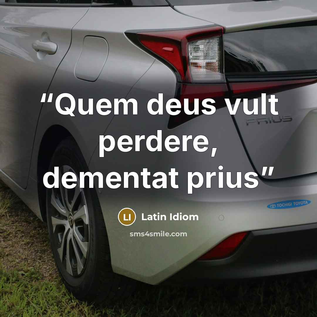 “Quem deus vult perdere, dementat prius” quote by Latin Idiom