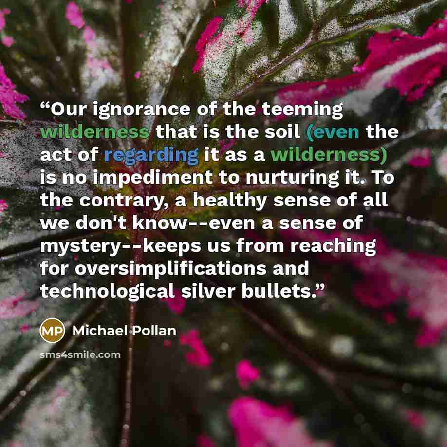 “Our ignorance of the teeming wilderness that is the soil (even the act of regarding it as a wilderness) is no impediment to nurturing it. To the contrary, a healthy sense of all we don't know--even a sense of mystery--keeps us from reaching for oversimplifications and technological silver bullets.” quote by Michael Pollan