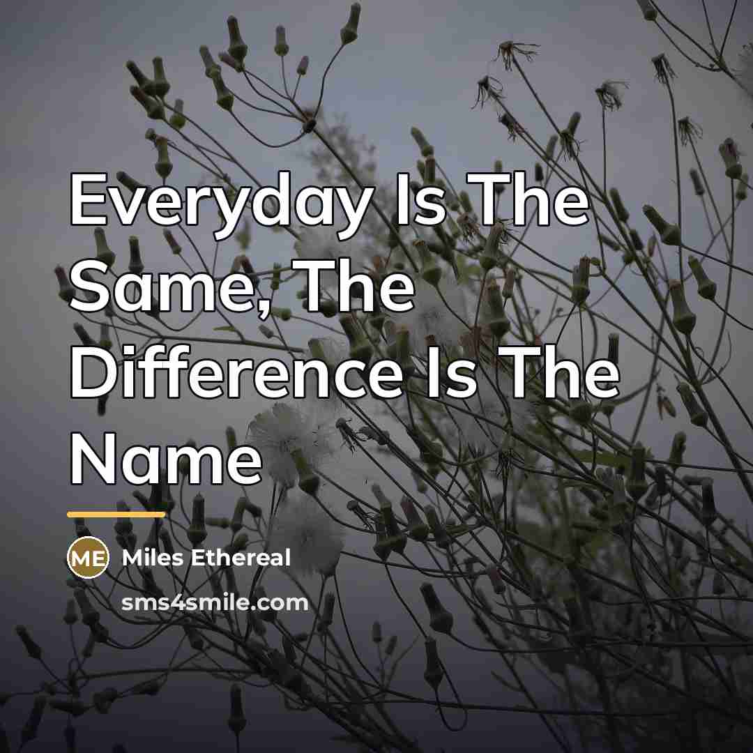 “Everyday Is The Same, The Difference Is The Name…” quote by Miles Ethereal
