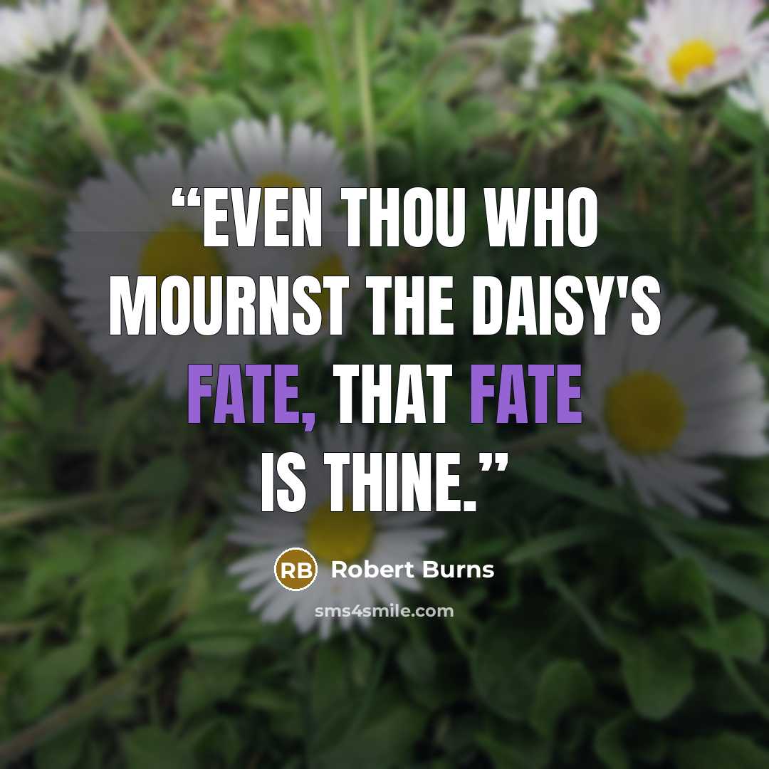 “Even thou who mournst the daisy's fate, that fate is thine.” quote by Robert Burns