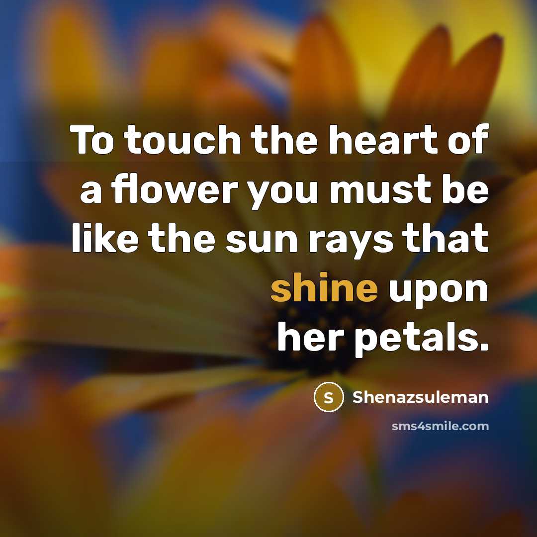“To touch the heart of a flower you must be like the sun rays that shine upon her petals.” quote by Shenazsuleman