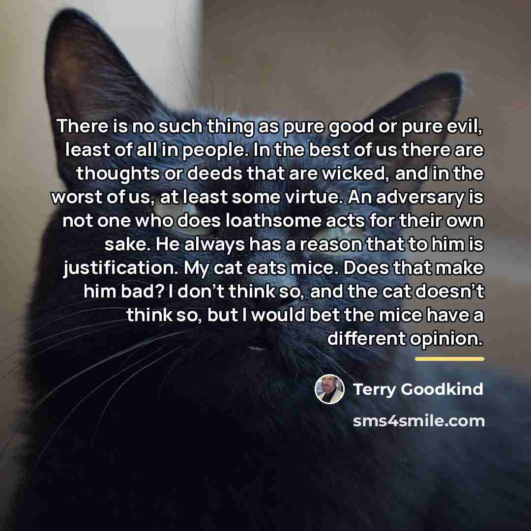 “There is no such thing as pure good or pure…” quote by Terry Goodkind
