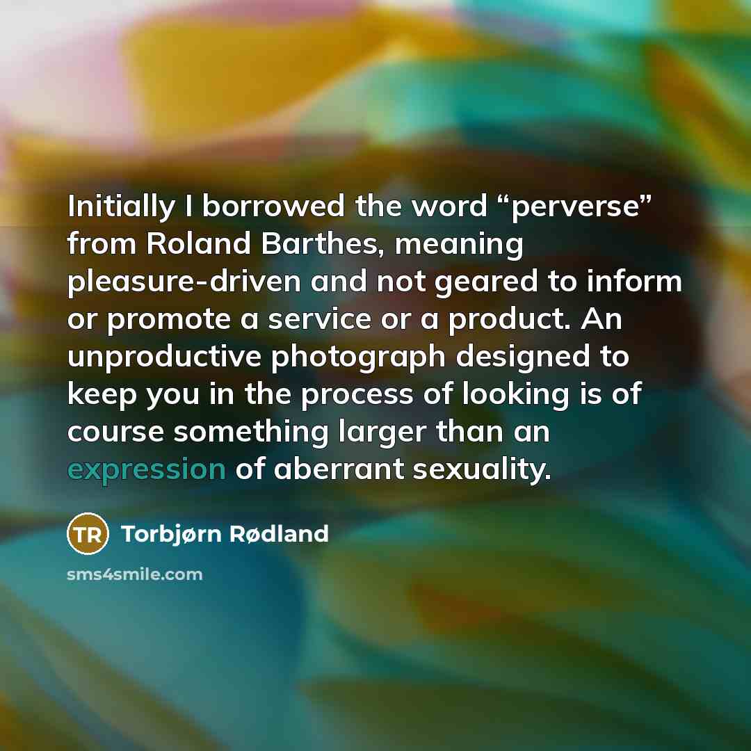 “Initially I borrowed the word “perverse” from Roland Barthes, meaning…” quote by Torbjørn Rødland