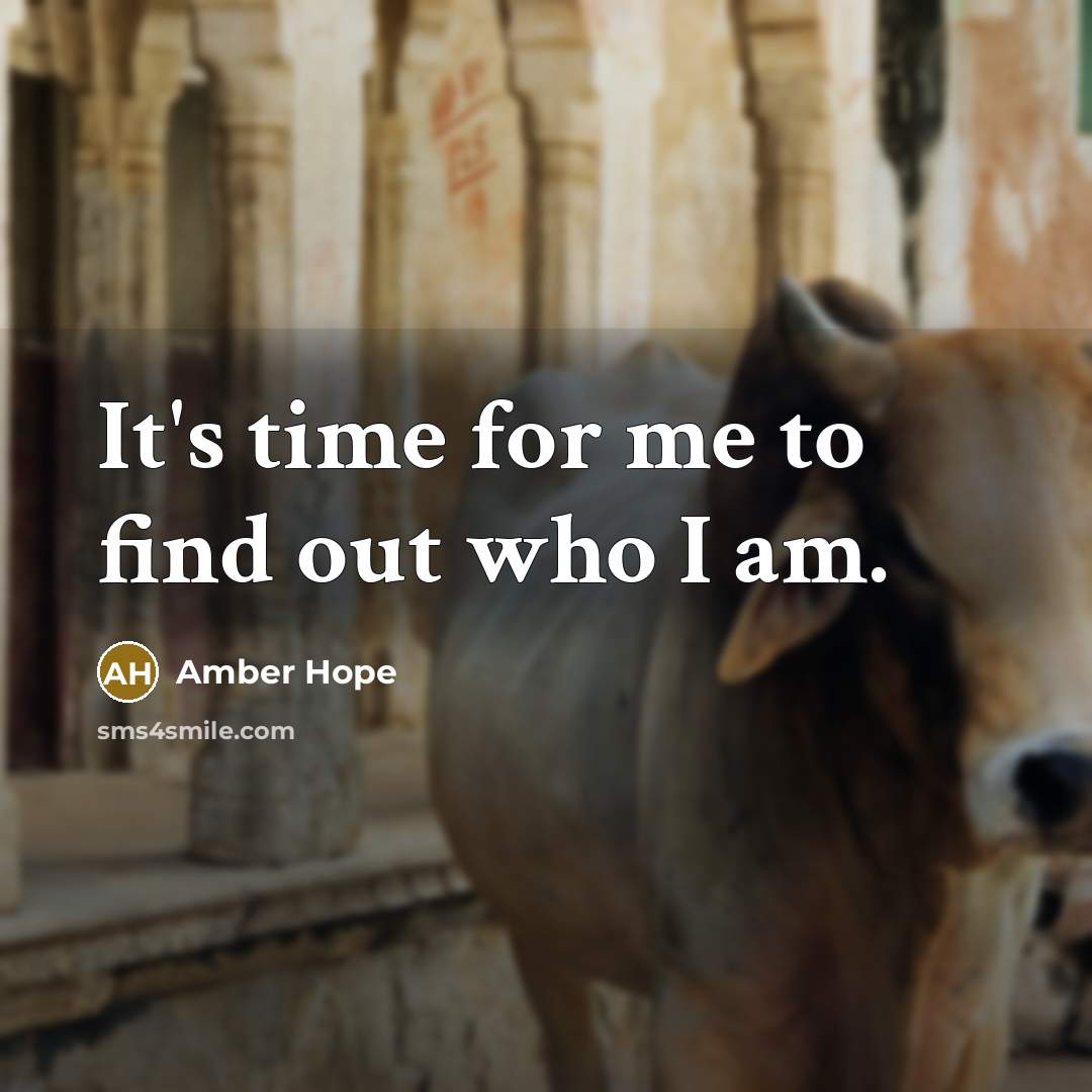 “It's time for me to find out who I am.…” quote by Amber Hope