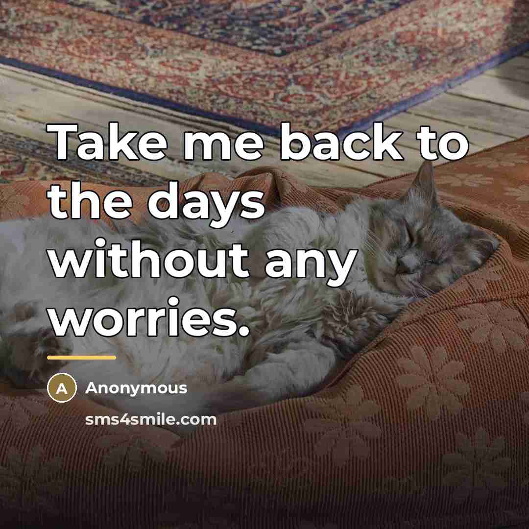 “Take me back to the days without any worries.…” quote by Anonymous
