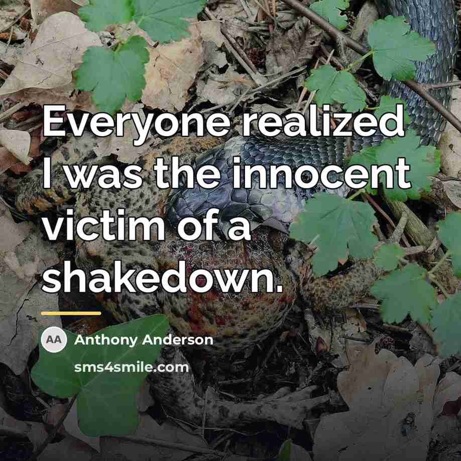 “Everyone realized I was the innocent victim of a shakedown.…” quote by Anthony Anderson