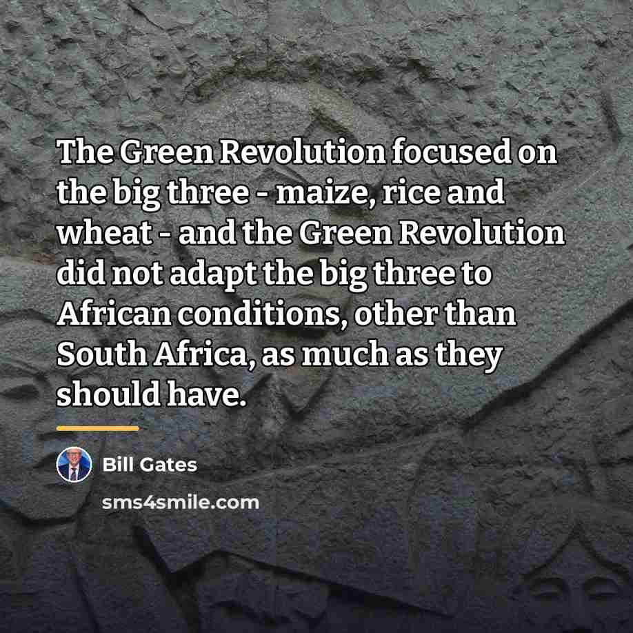 “The Green Revolution focused on the big three - maize,…” quote by Bill Gates