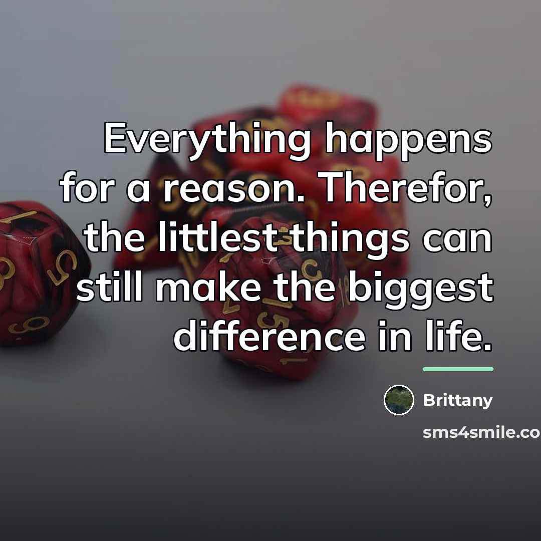 “Everything happens for a reason. Therefor, the littlest things can…” quote by Brittany