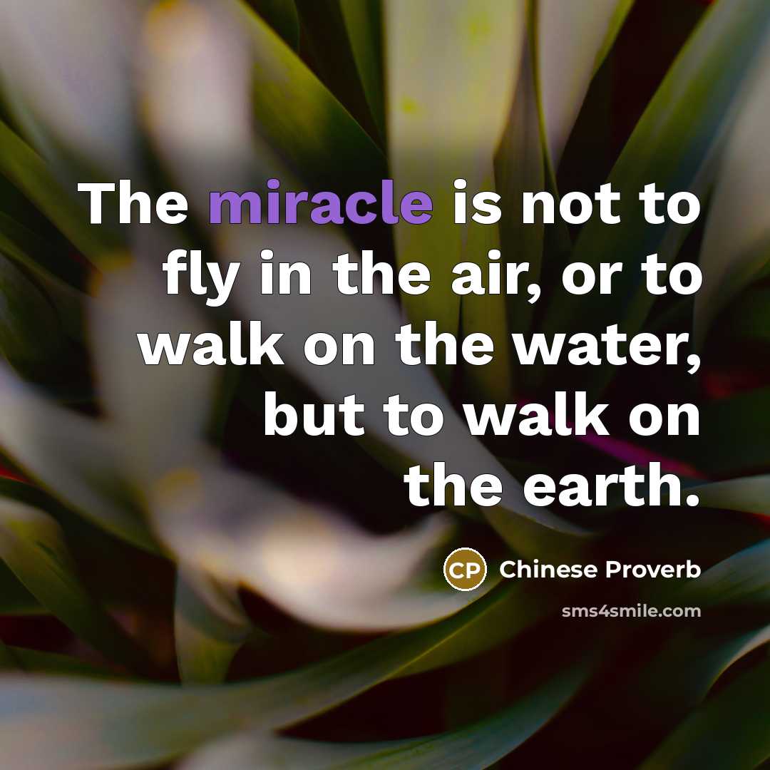 “The miracle is not to fly in the air, or…” quote by Chinese Proverb