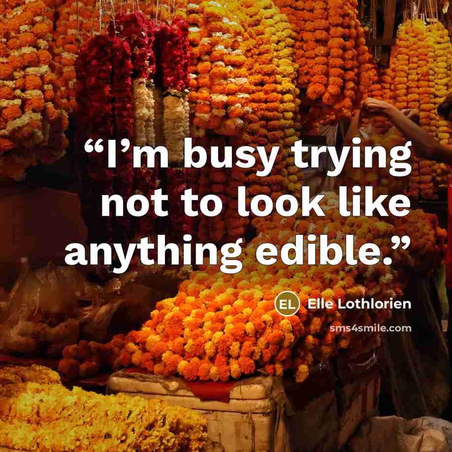 “I’m busy trying not to look like anything edible.” quote by Elle Lothlorien
