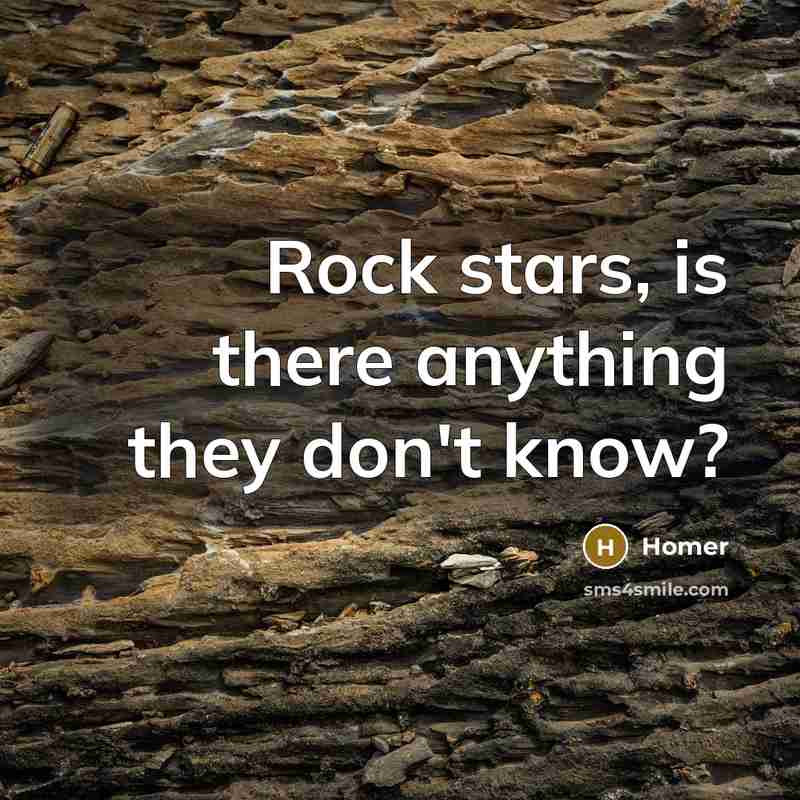 “Rock stars, is there anything they don't know?…” quote by Homer