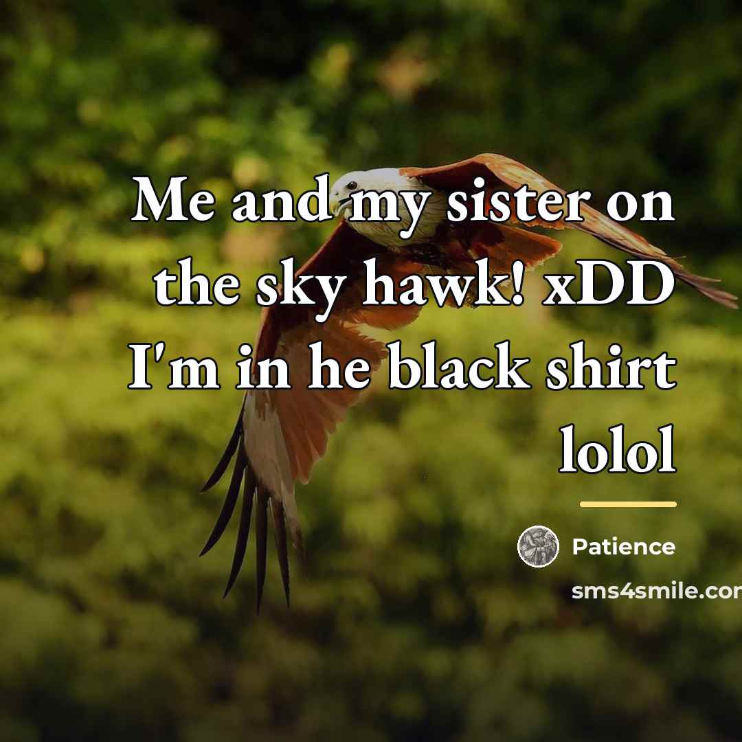 “Me and my sister on the sky hawk! xDD I'm…” quote by Patience