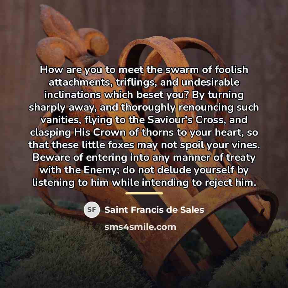 “How are you to meet the swarm of foolish attachments,…” quote by Saint Francis de Sales