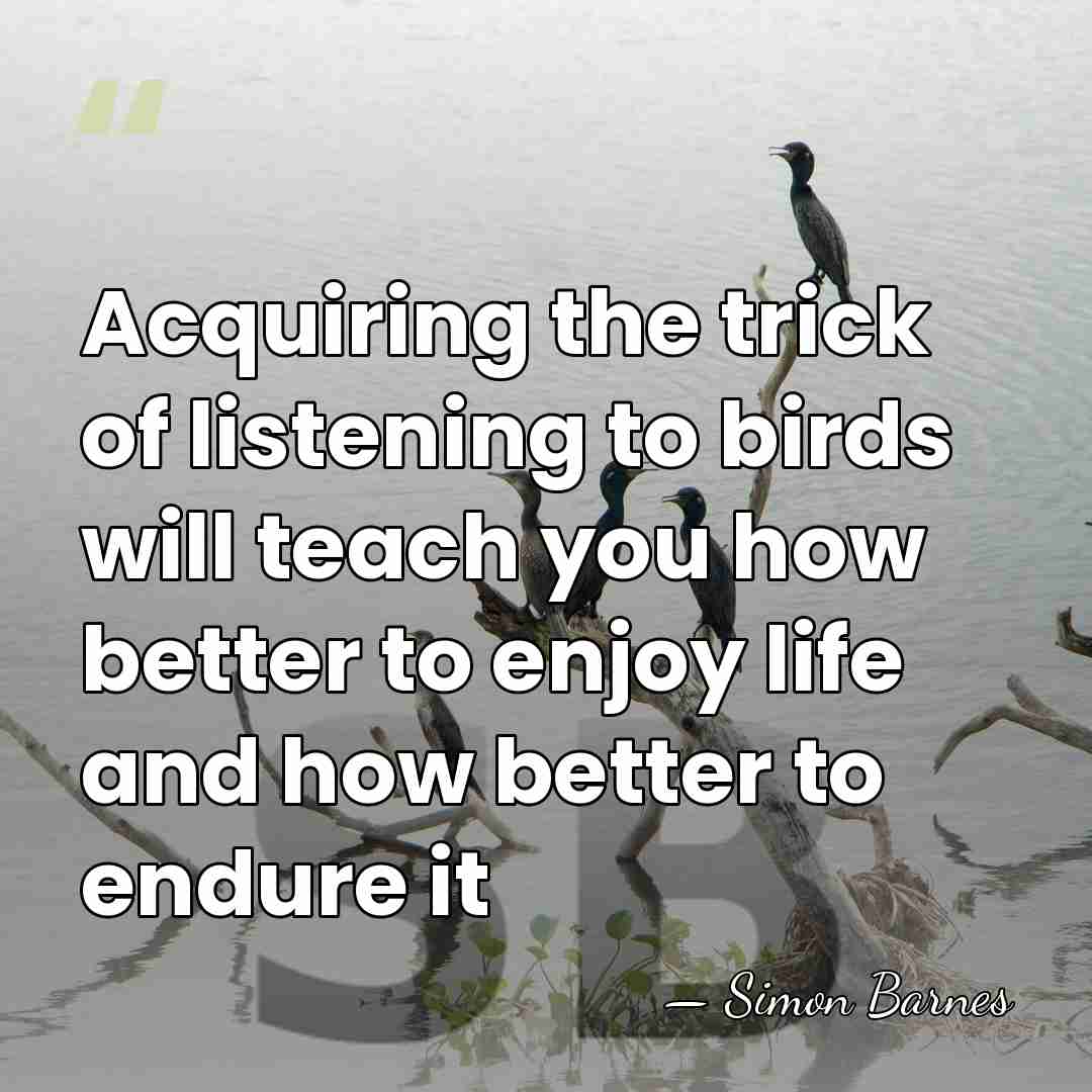 Acquiring the trick of listening to birds will teach you how better&hellip; - Simon Barnes