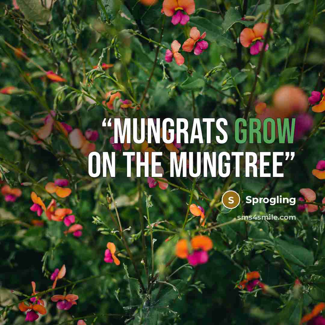 “Mungrats grow on the Mungtree” quote by Sprogling