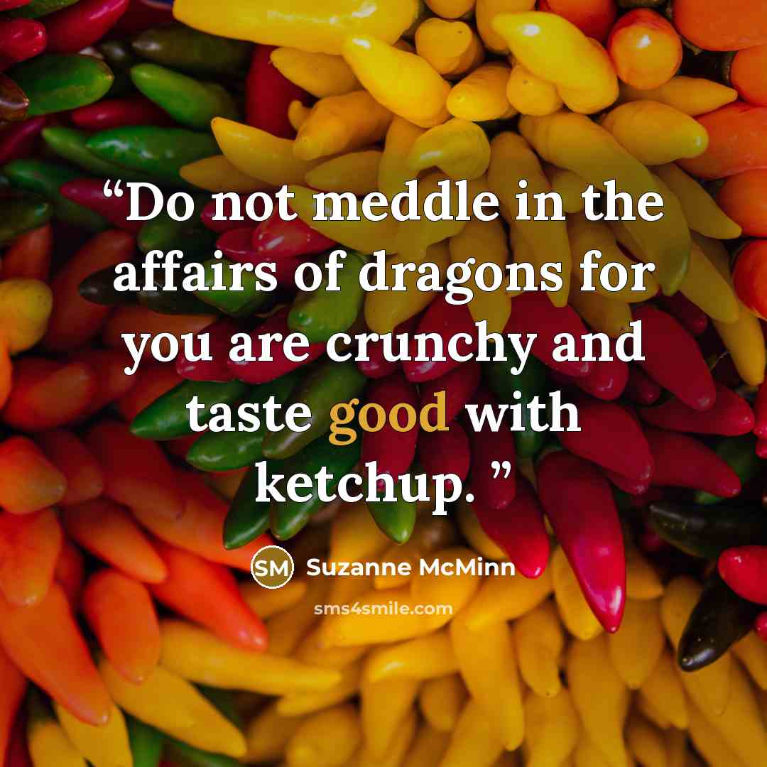 “Do not meddle in the affairs of dragons for you are crunchy and taste good with ketchup.” quote by Suzanne McMinn