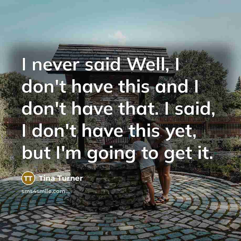 “I never said Well, I don't have this and I…” quote by Tina Turner