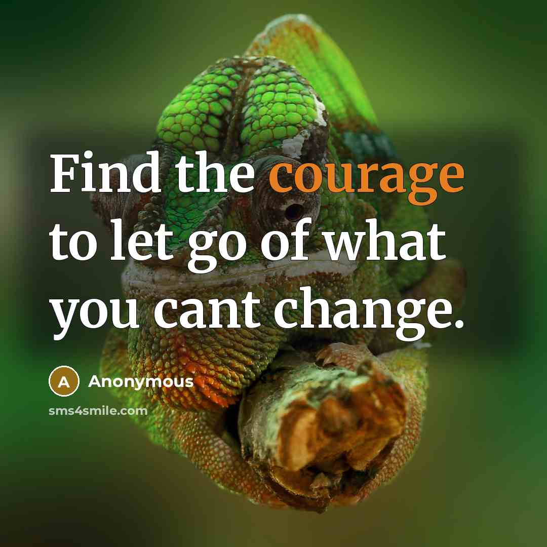 “Find the courage to let go of what you cant…” quote by Anonymous